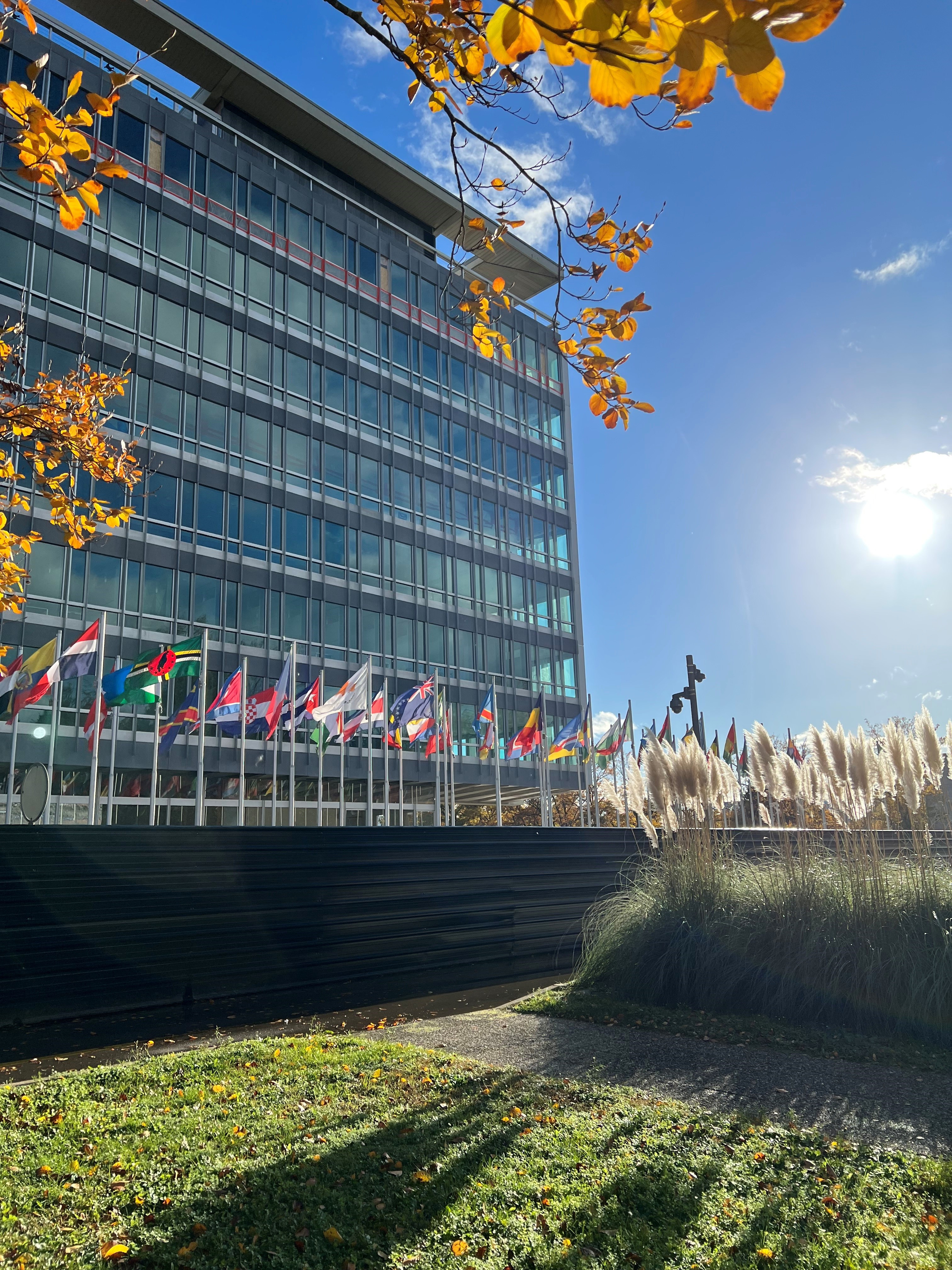 Siège de l’Organisation mondiale de la santé à Genève, avec des drapeaux, photographié en novembre 2022, archive institutionnelle