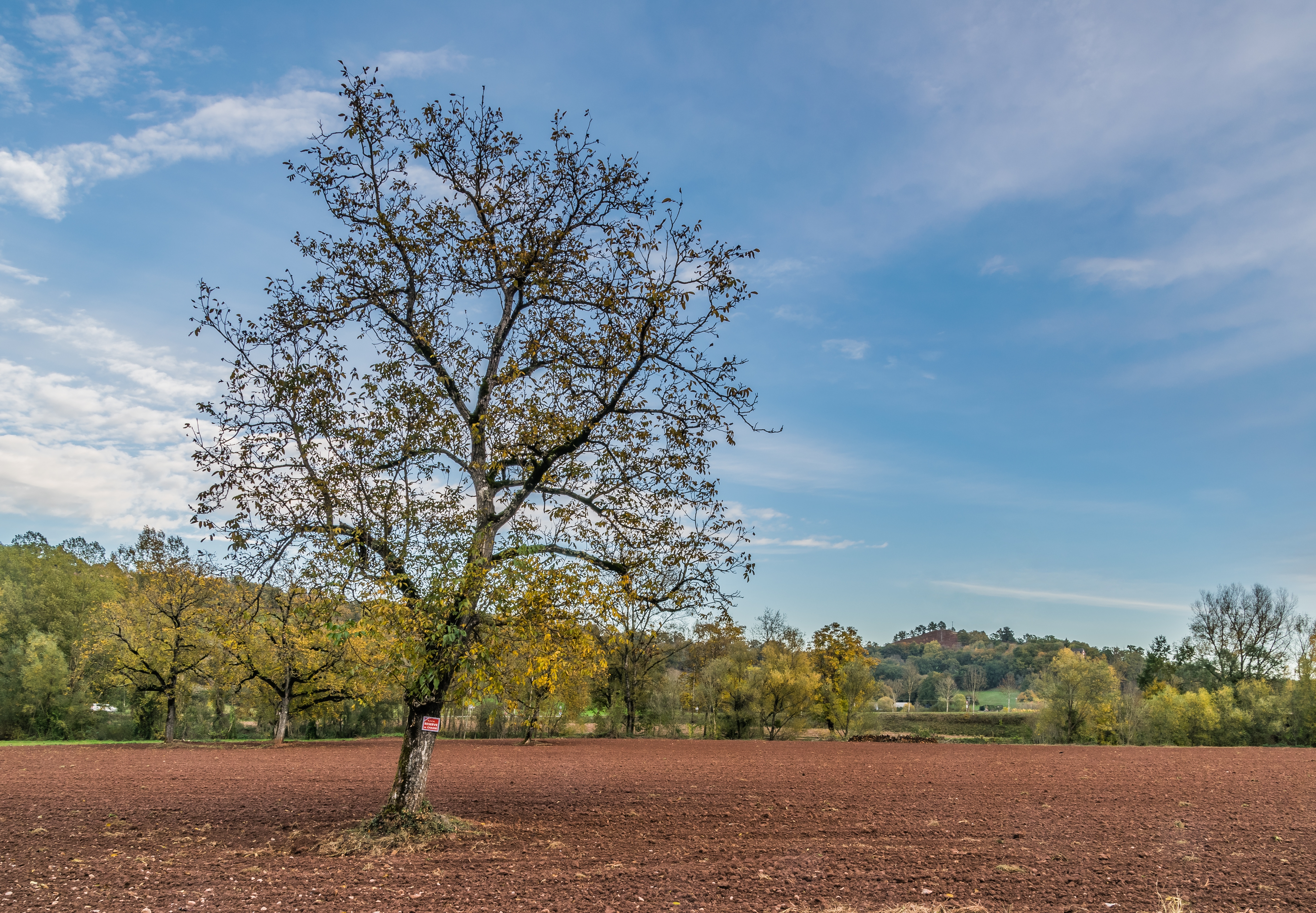 Arbre et champ près d’Arjac, à Conques-en-Rouergue dans l’Aveyron, photographie de novembre 2018 sans lien avec le congrès d’Auch ni les communes bénéficiaires